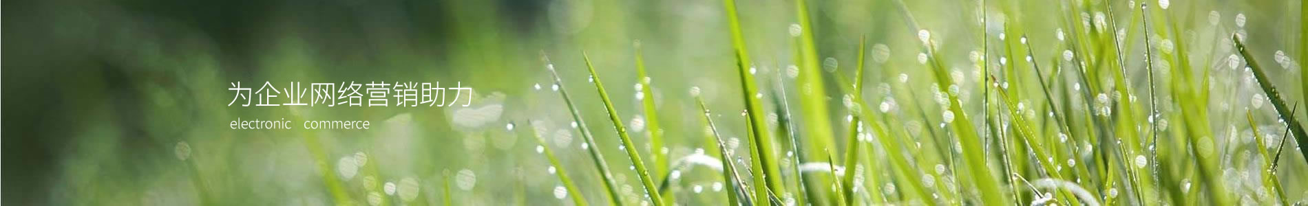 ĴںƼ޹˾